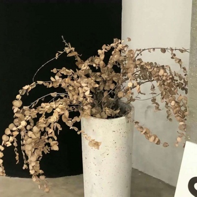 Furry绘画构图技巧福瑞交流群